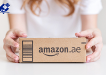 Gửi hàng đi Mỹ từ TPHCM giá rẻ, tiết kiệm cùng TNL Express